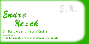 endre mesch business card